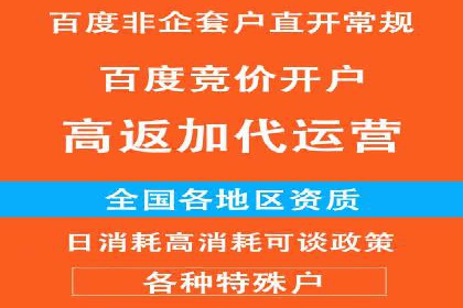 低成本高回报：百度竞价代理成功案例分析